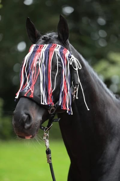 Налобник от мух цветной Covalliero (Красный/Синий/белый)