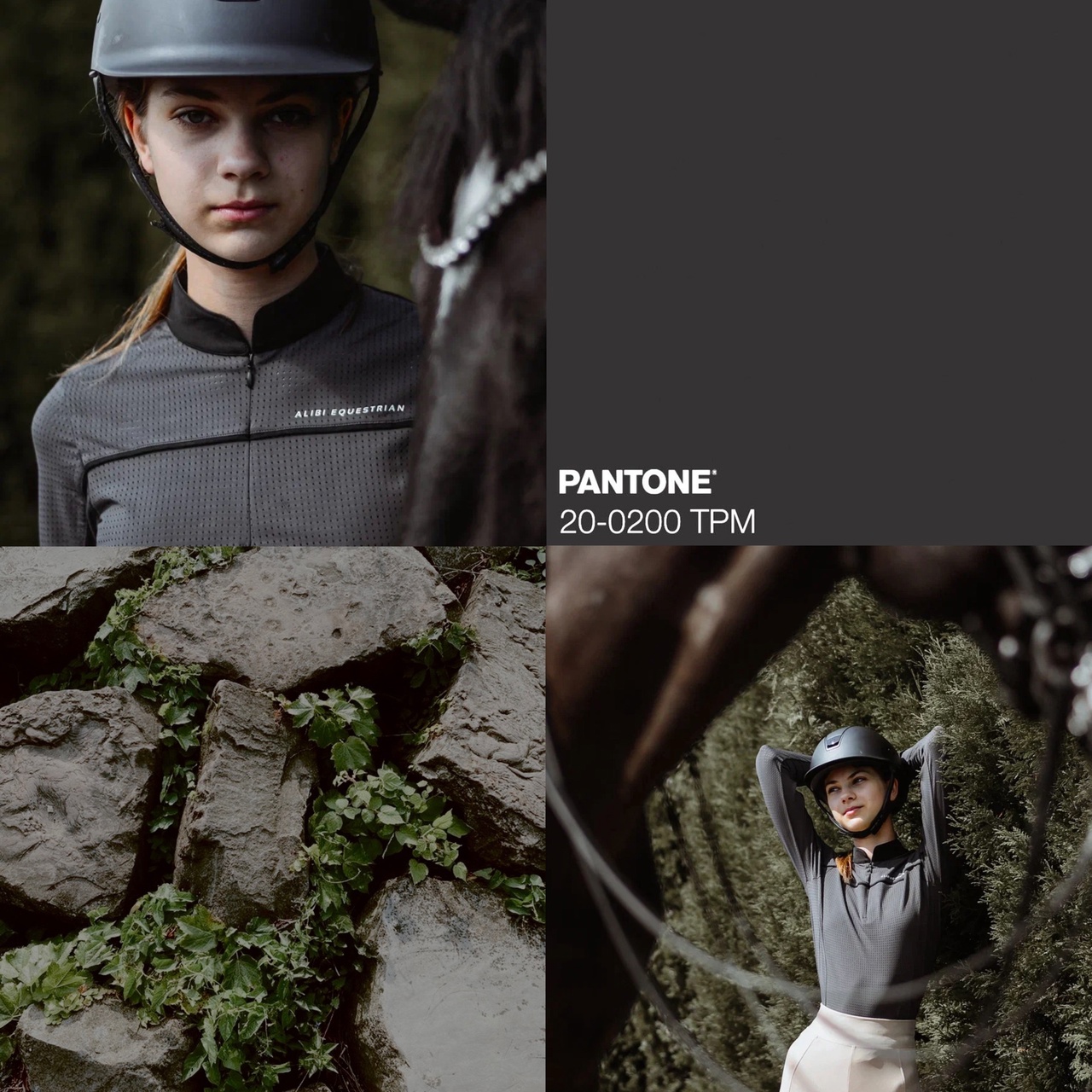 Лонгслив ALIBI Garden