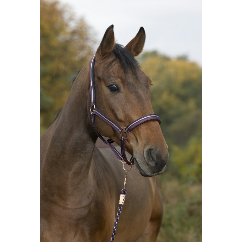 Недоуздок с подложкой + чомбур Brillant