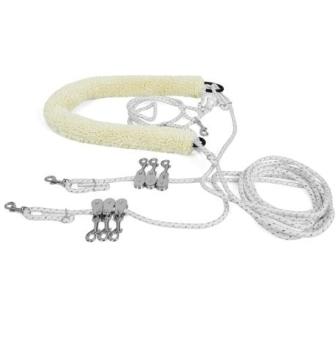 Шлея "Пессоа", Tattini