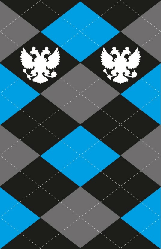 Гольфы для верховой езды, Герб России, цвета в ассортименте