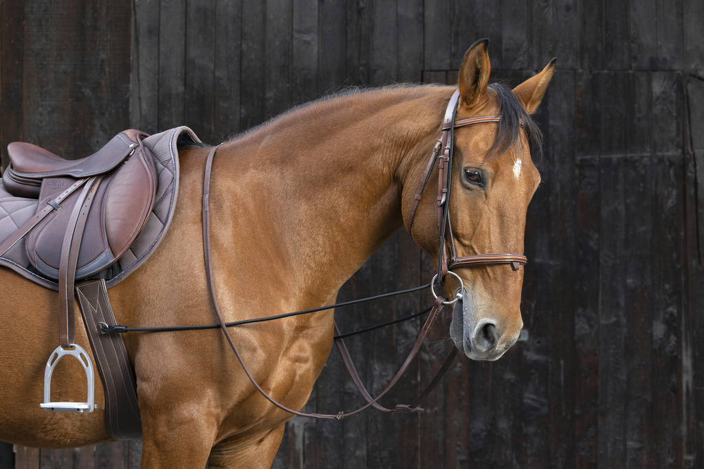 Шамбон резиновый для лошади Tattini, 3 метра