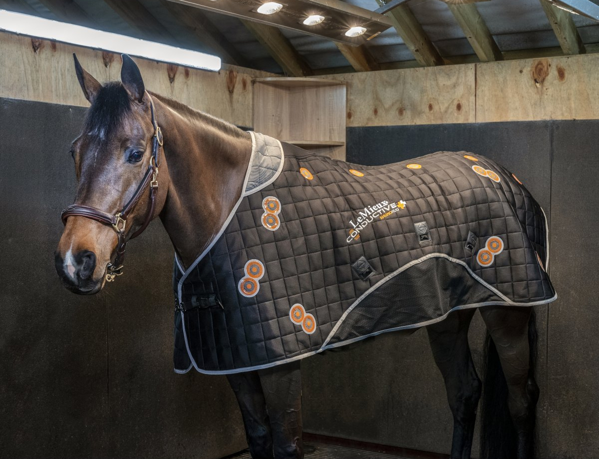Попона магнитная для магнитотерапии лошадей LeMieux Conductive Magno Rug, 155 см.