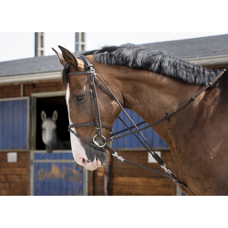 Гог RIDING WORLD комбинированный 4 карабина (FULL)