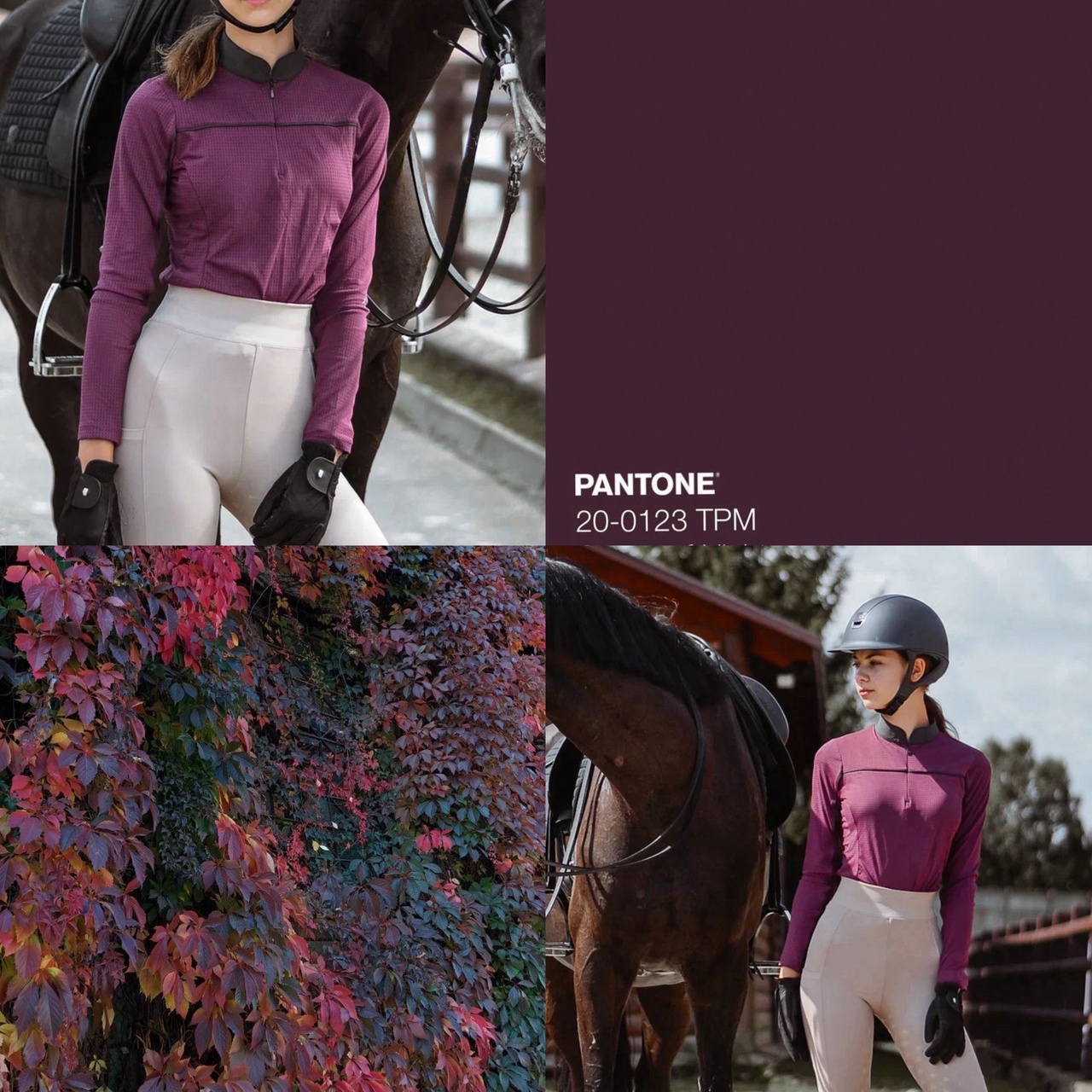 Лонгслив ALIBI Garden