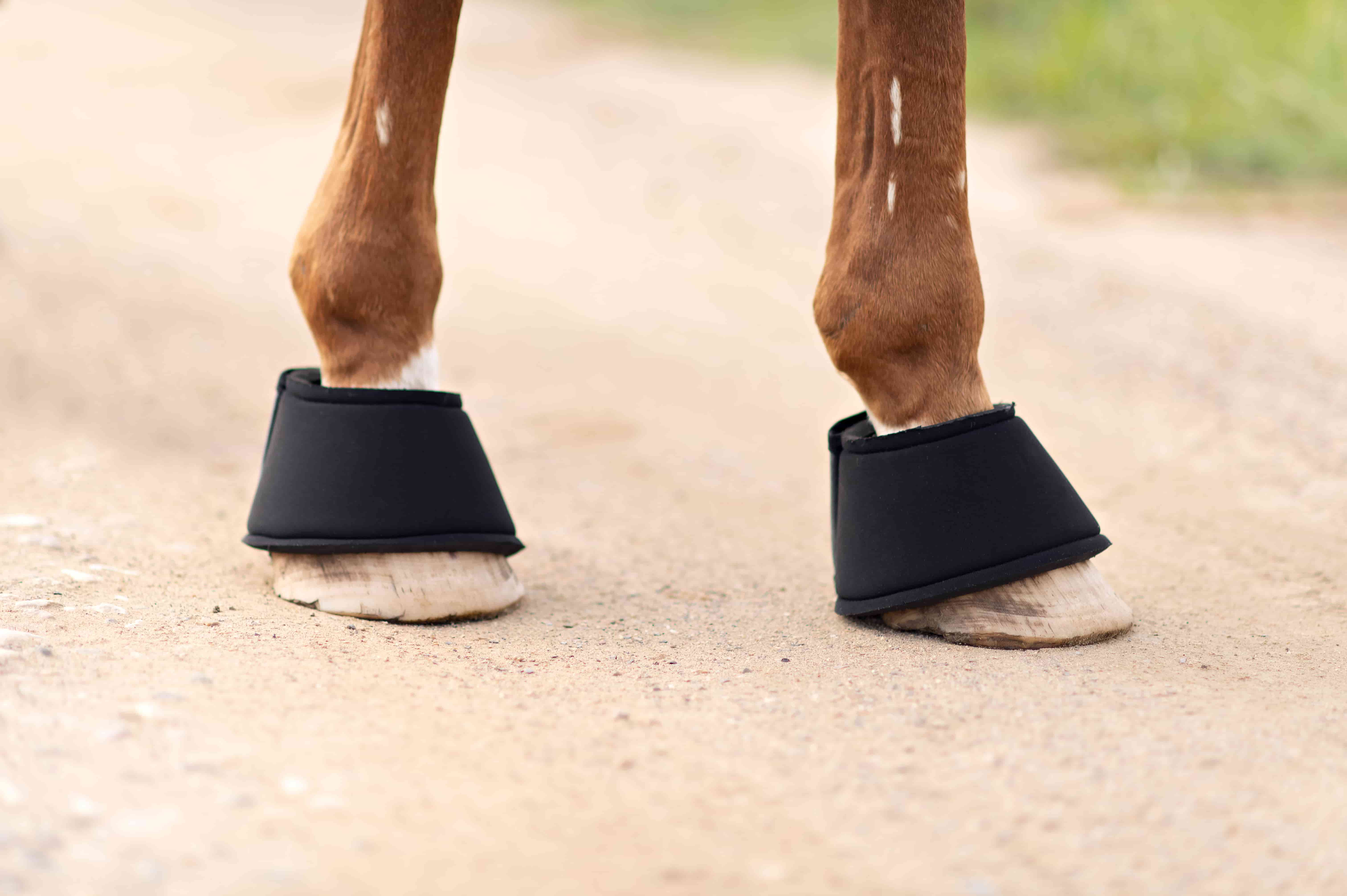 Кобуры (колокольчики) неопреновые