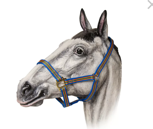 Недоуздок нейлоновый Gold Horse