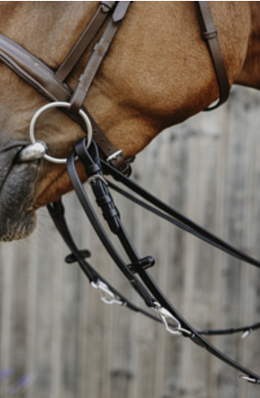 Повод Тодемана с мартингалом LeatherArt