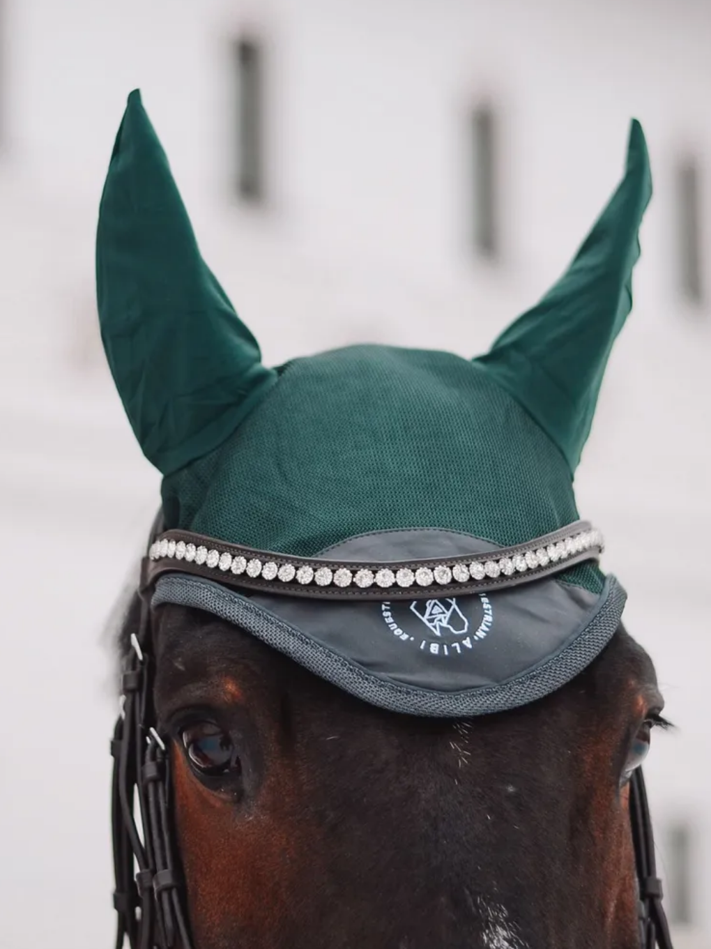 Ушки / капор ALIBI коллекция DUO