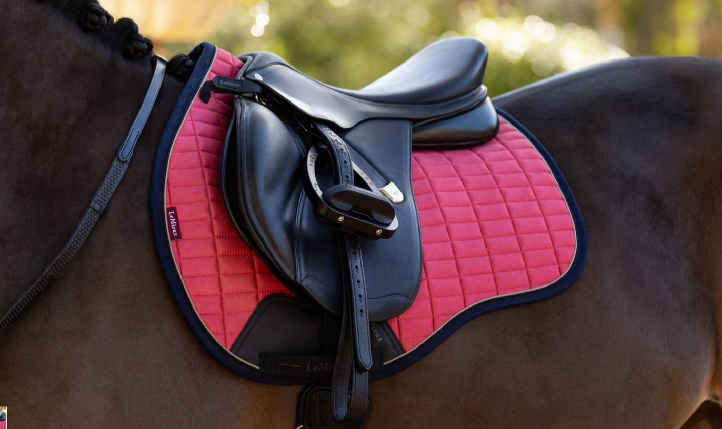 Вальтрап конкурный LeMieux Suede Classic Cranberry + ушки