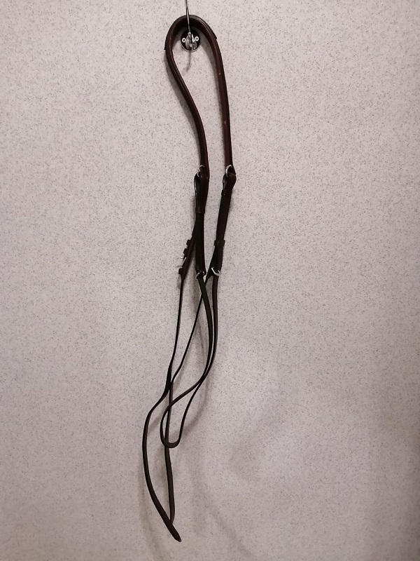 Ремень нагрудный для рысаков