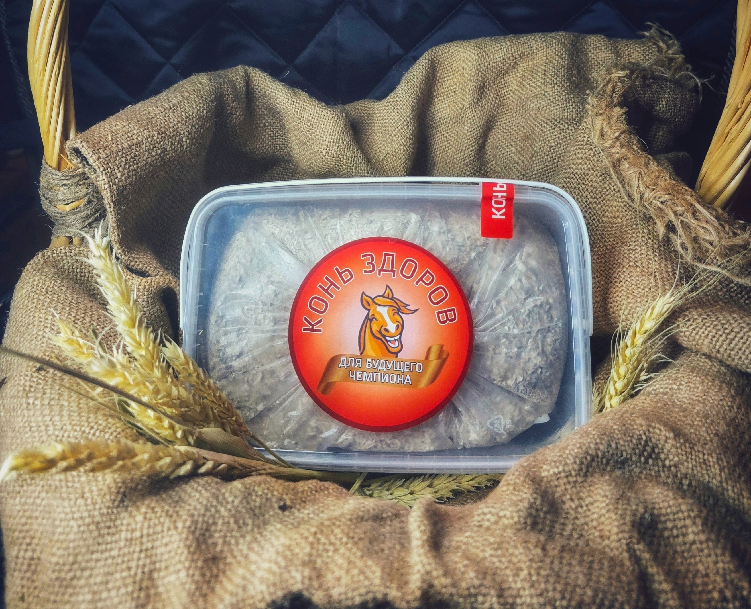 Для Будущих Чемпионов!