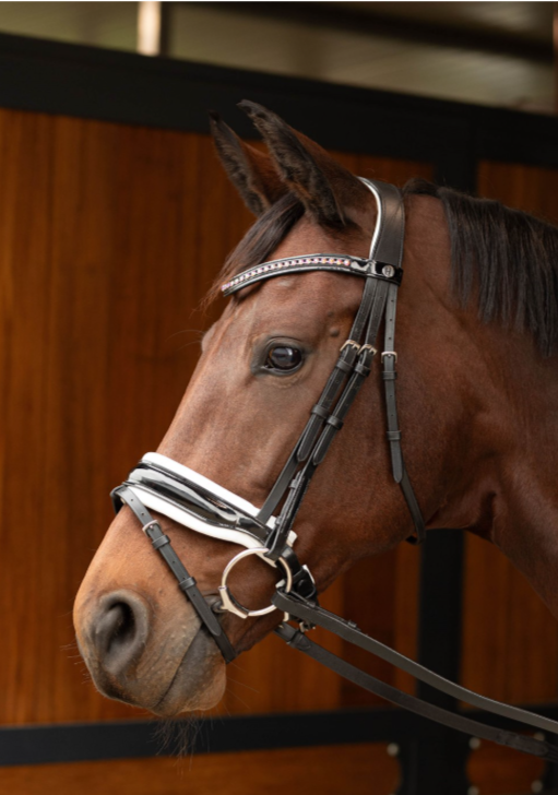 Уздечка для лошади Chique Harry's Horse размер Full цвет черный