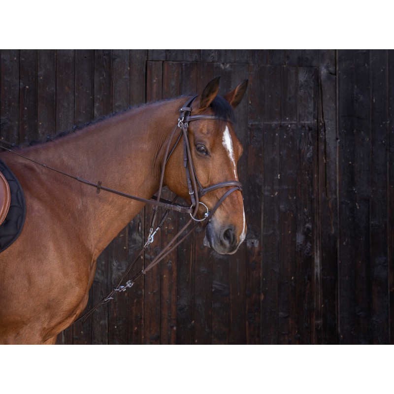 Гог RIDING WORLD комбинированный 4 карабина (FULL)